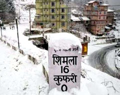 shimla sightseeing kufri tour