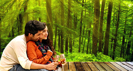 Shimla Manali Honeymoon Package by Cab